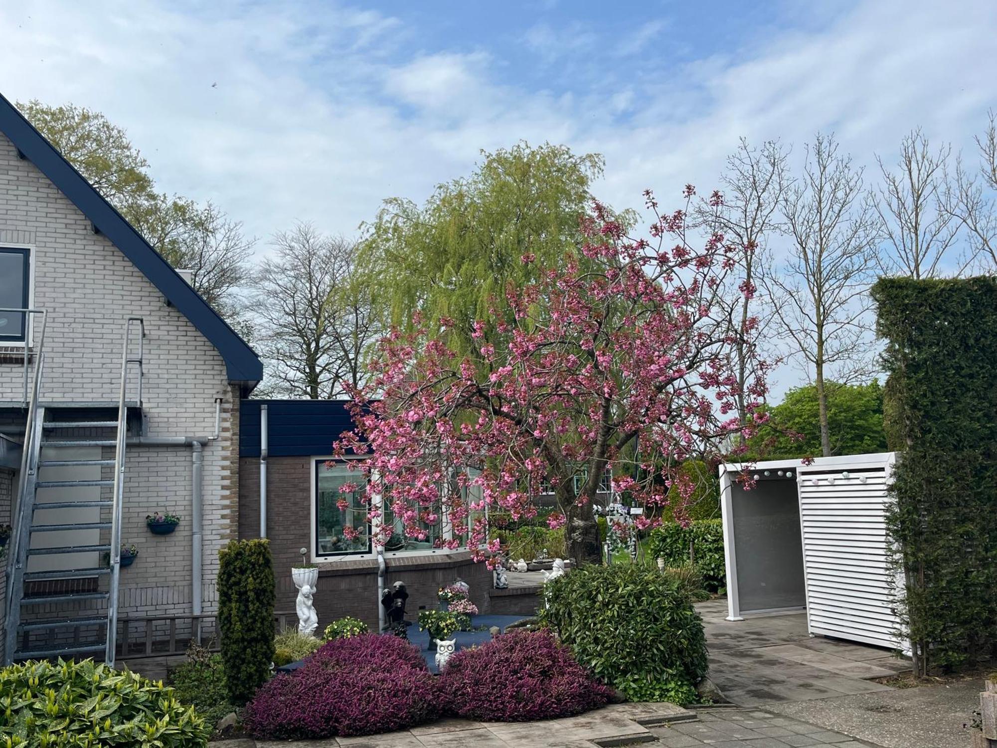 B&B Dol - Fijn Benningbroek Luaran gambar